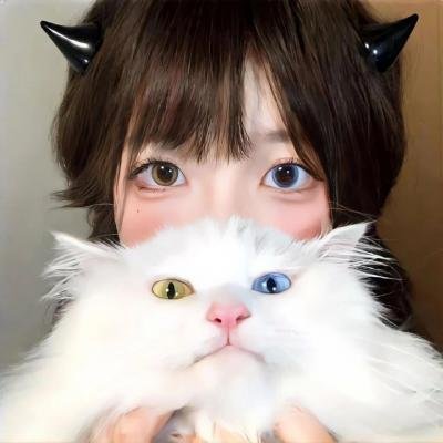 迷蝶
