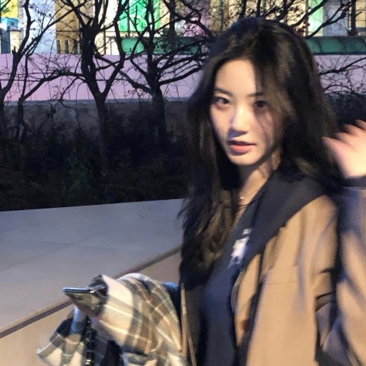 长毛象欢度圣诞